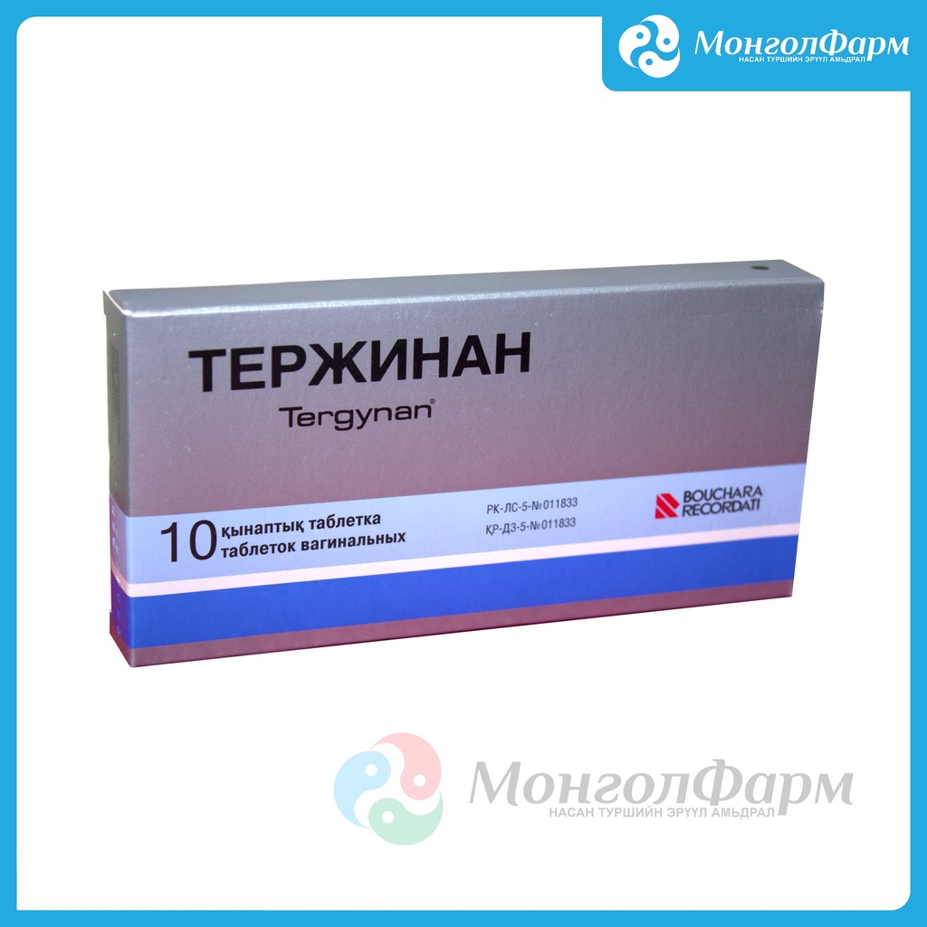 Тержинан лаа №10